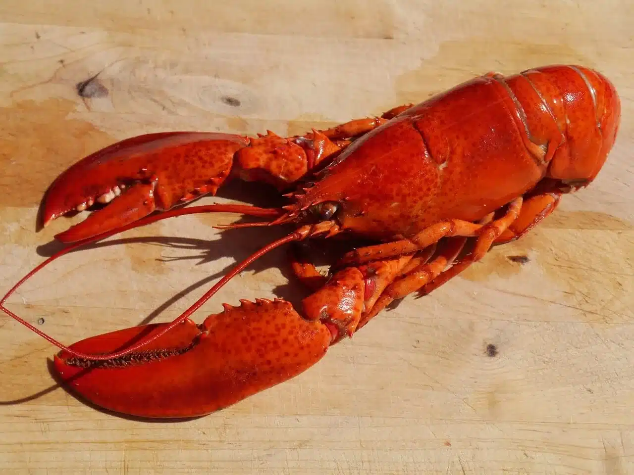 Discover essential Cooking Lobster Tips to ensure juicy, tender results every time. Master lobster preparation with our guide.
